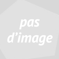 logo Prouvèze Rénovation, votre artisan clarensacois en Couverture et Maçonnerie générale